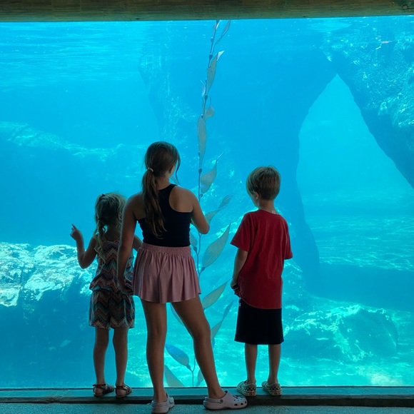 Meet your Posher, Stacey - Picture 1 of 1